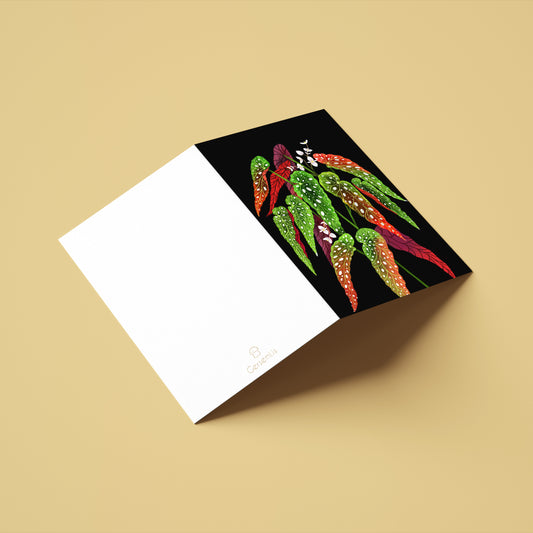 Tækifæriskort opnanlegt - Begonia Maculata