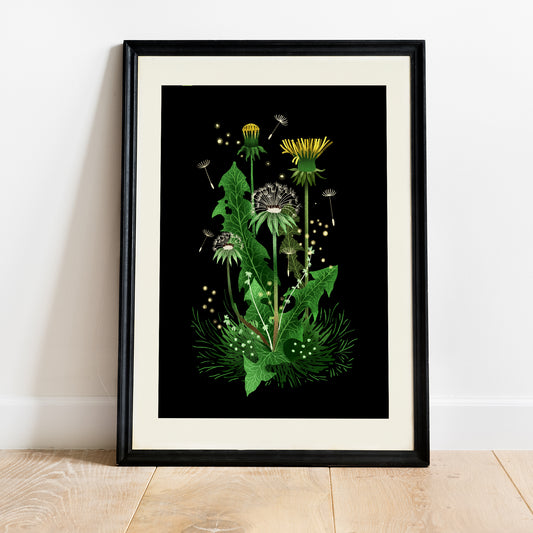 Veggspjald - Biðukolla