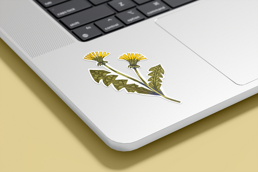 Límmiði - Túnfifill