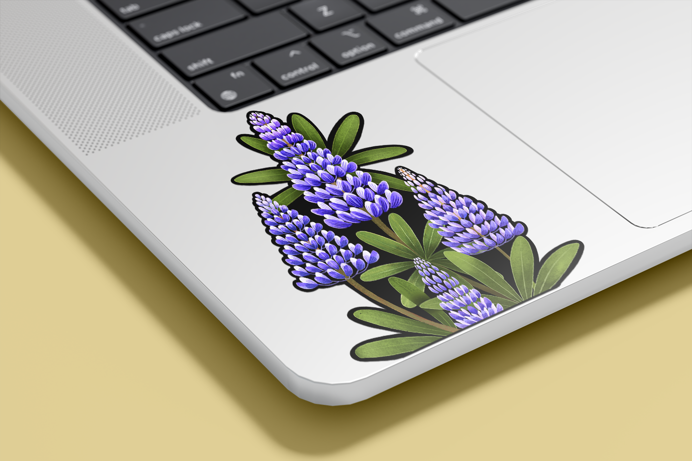 Límmiði - Lúpínur