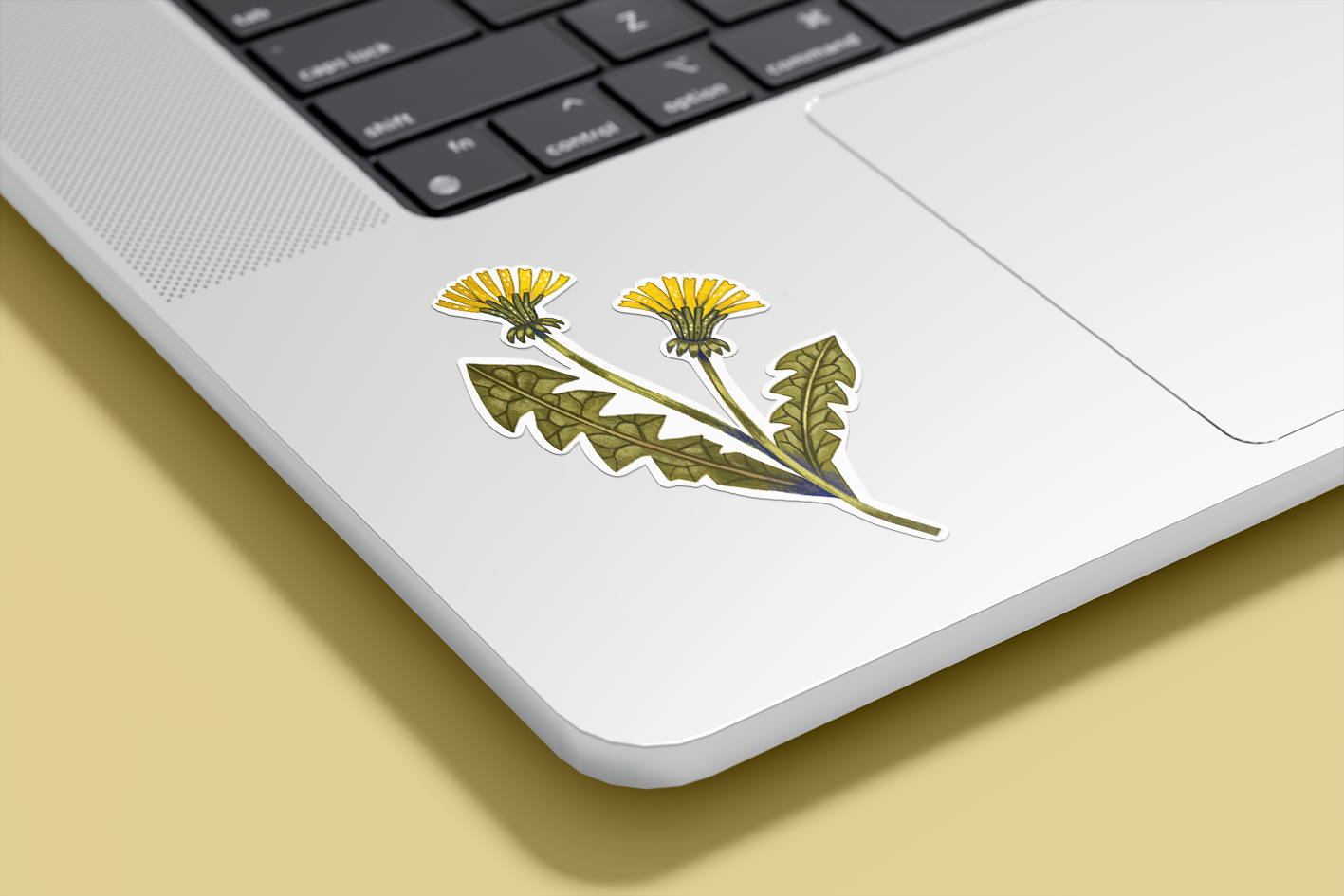 Límmiði - Túnfifill