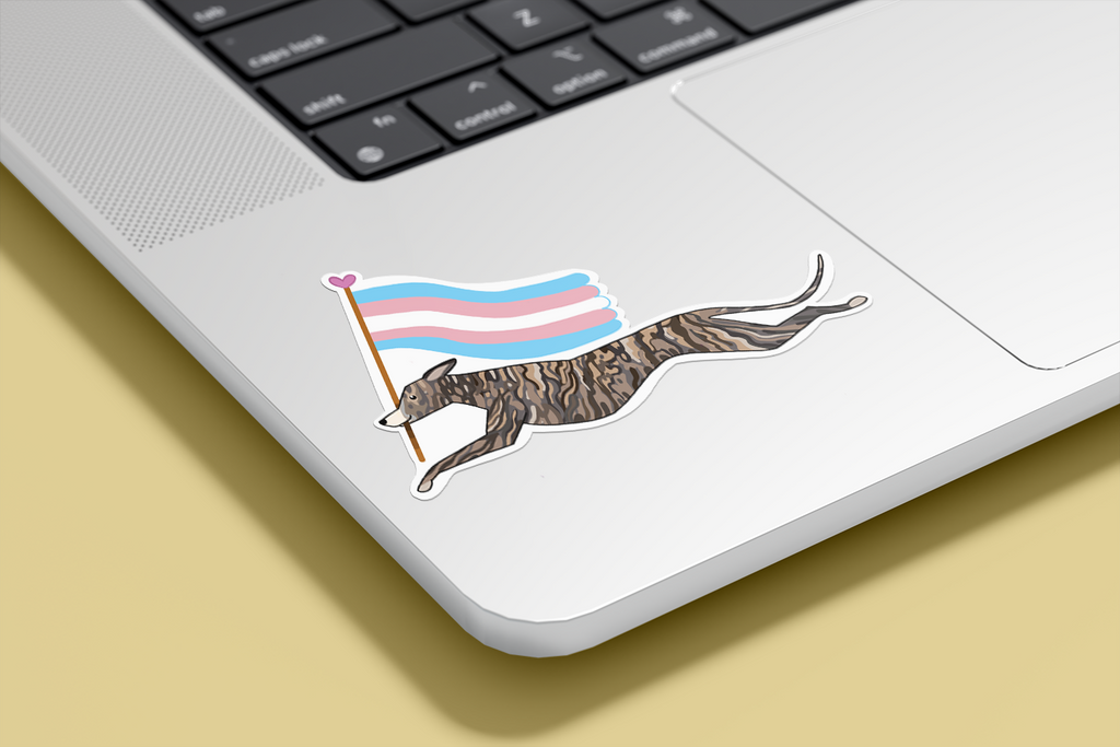 Límmiði - Trans fáni