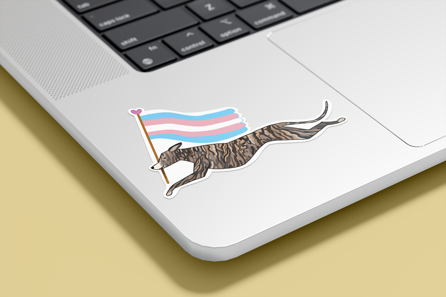 Límmiði - Trans fáni