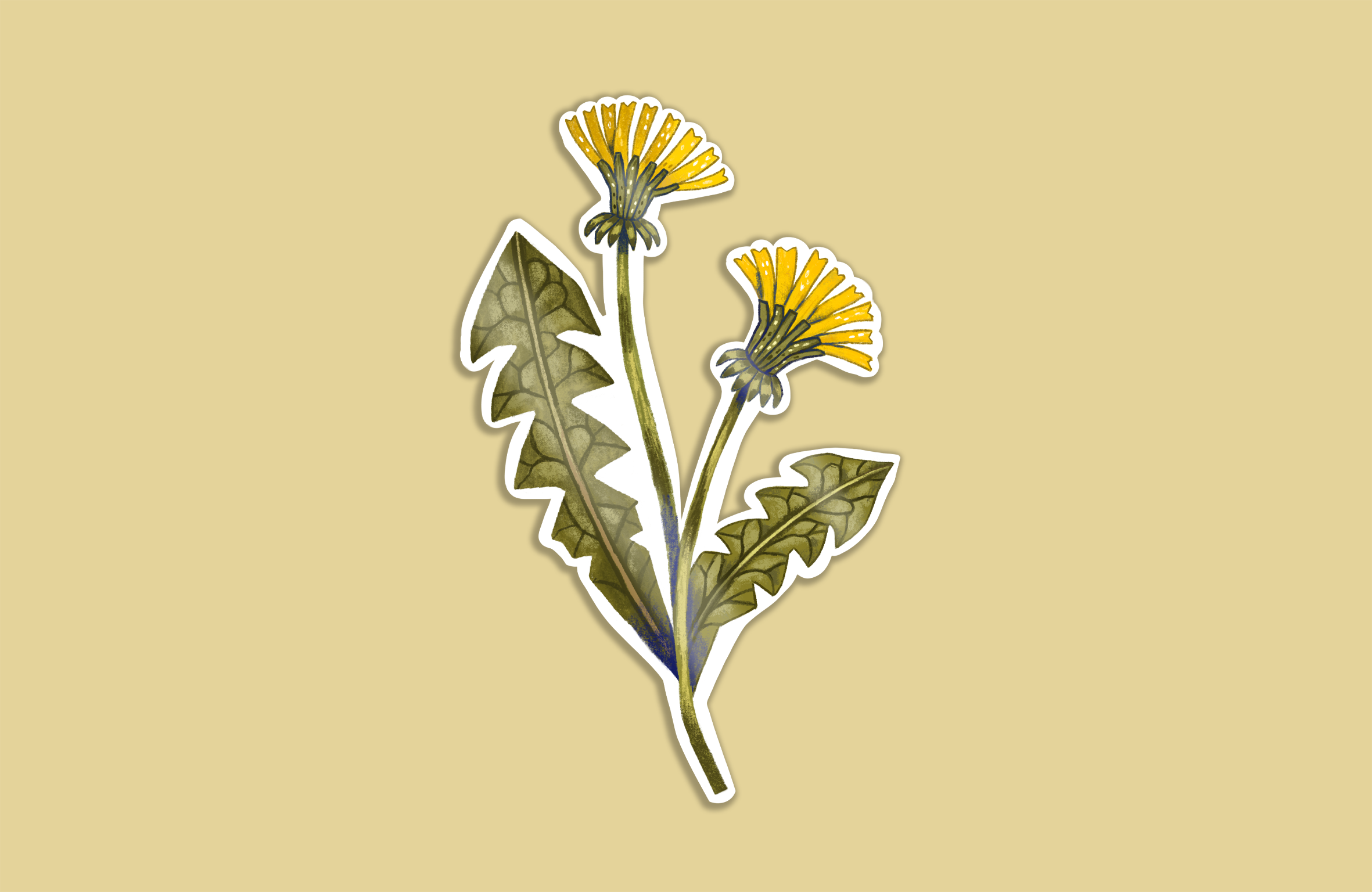 Límmiði - Túnfifill