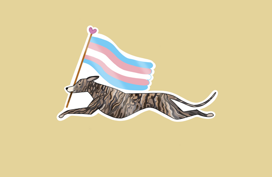 Límmiði - Trans fáni