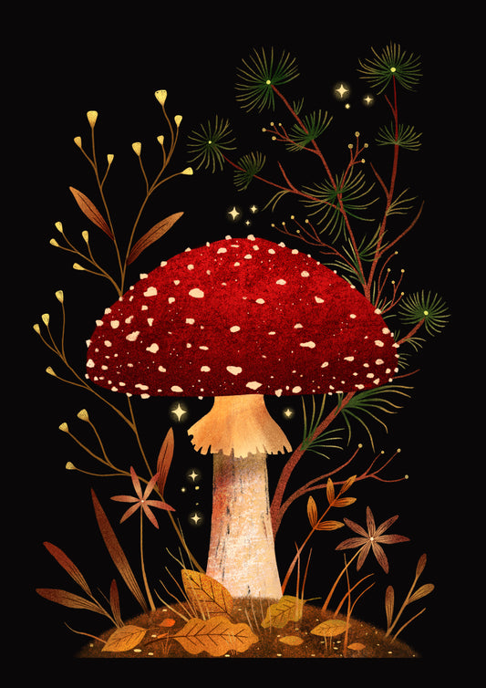 Amanita muscaria