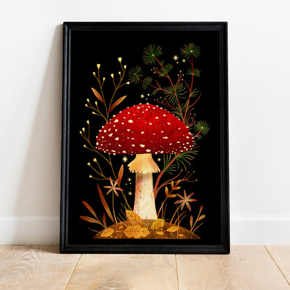 Amanita muscaria