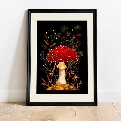 Amanita muscaria