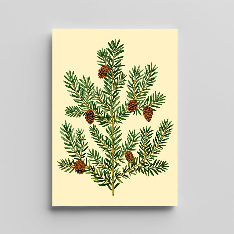 Tækifæriskort opnunarlegt - Greni