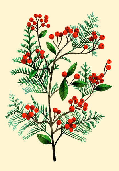 Tækifæriskort opnanlegt - Rauð ber