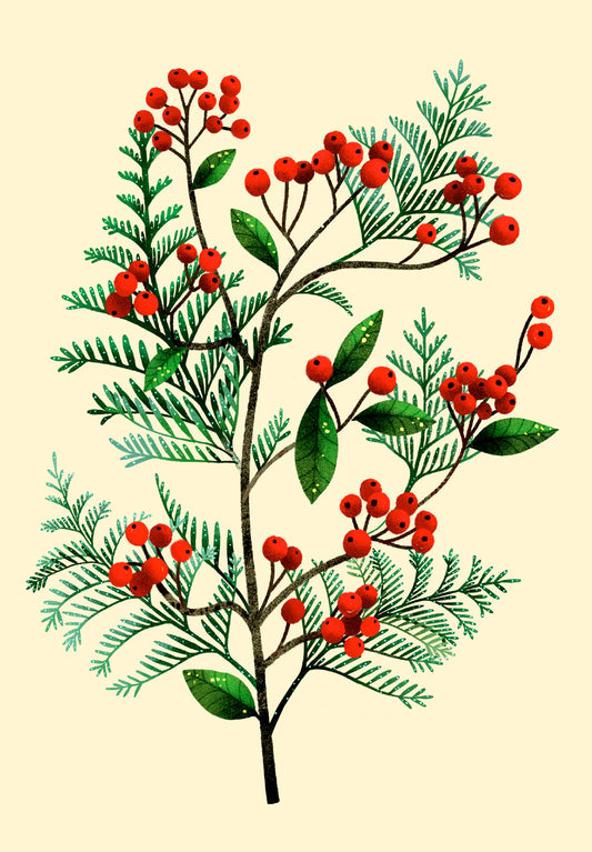 Tækifæriskort opnanlegt - Rauð ber