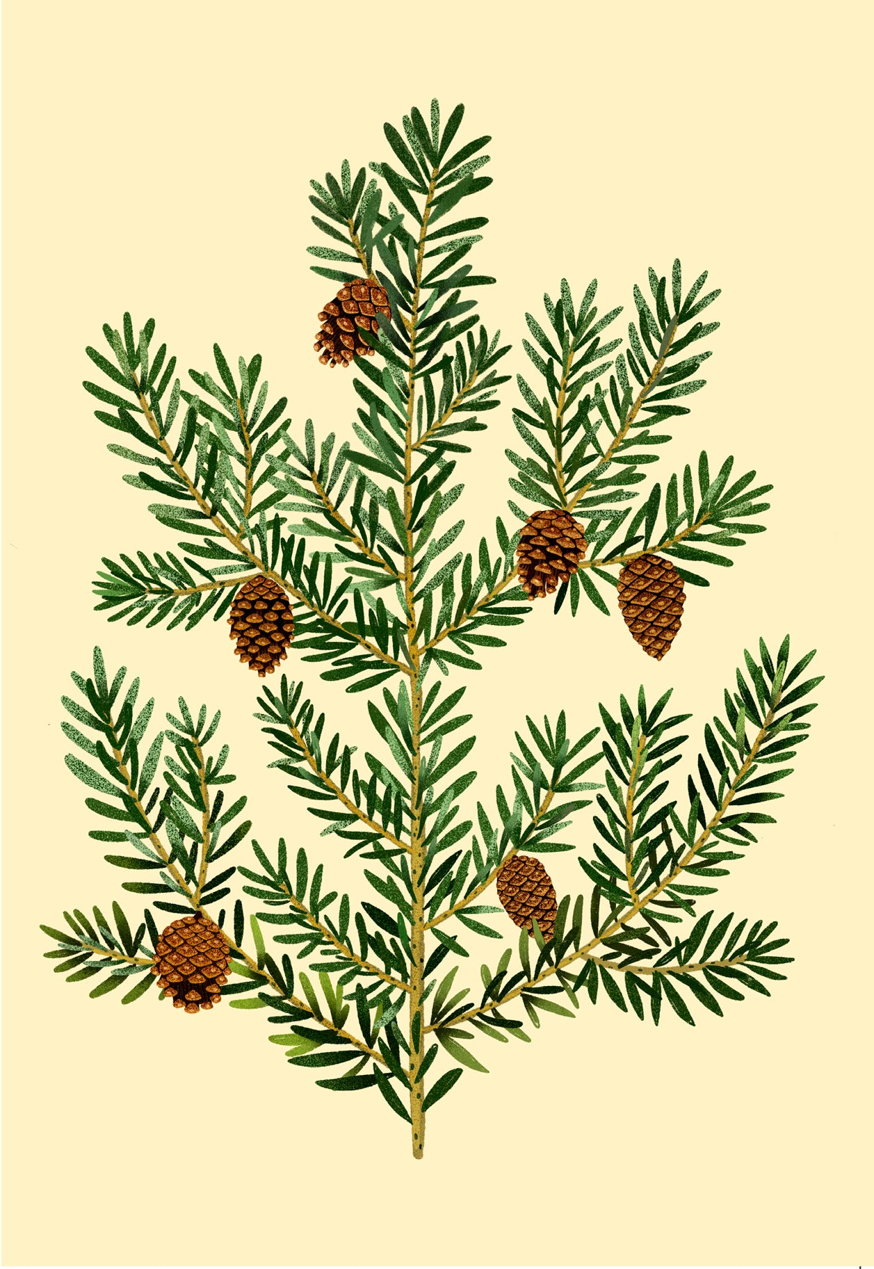 Tækifæriskort opnanlegt - Greni